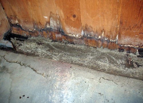 Slab Leak Repair San Diego County