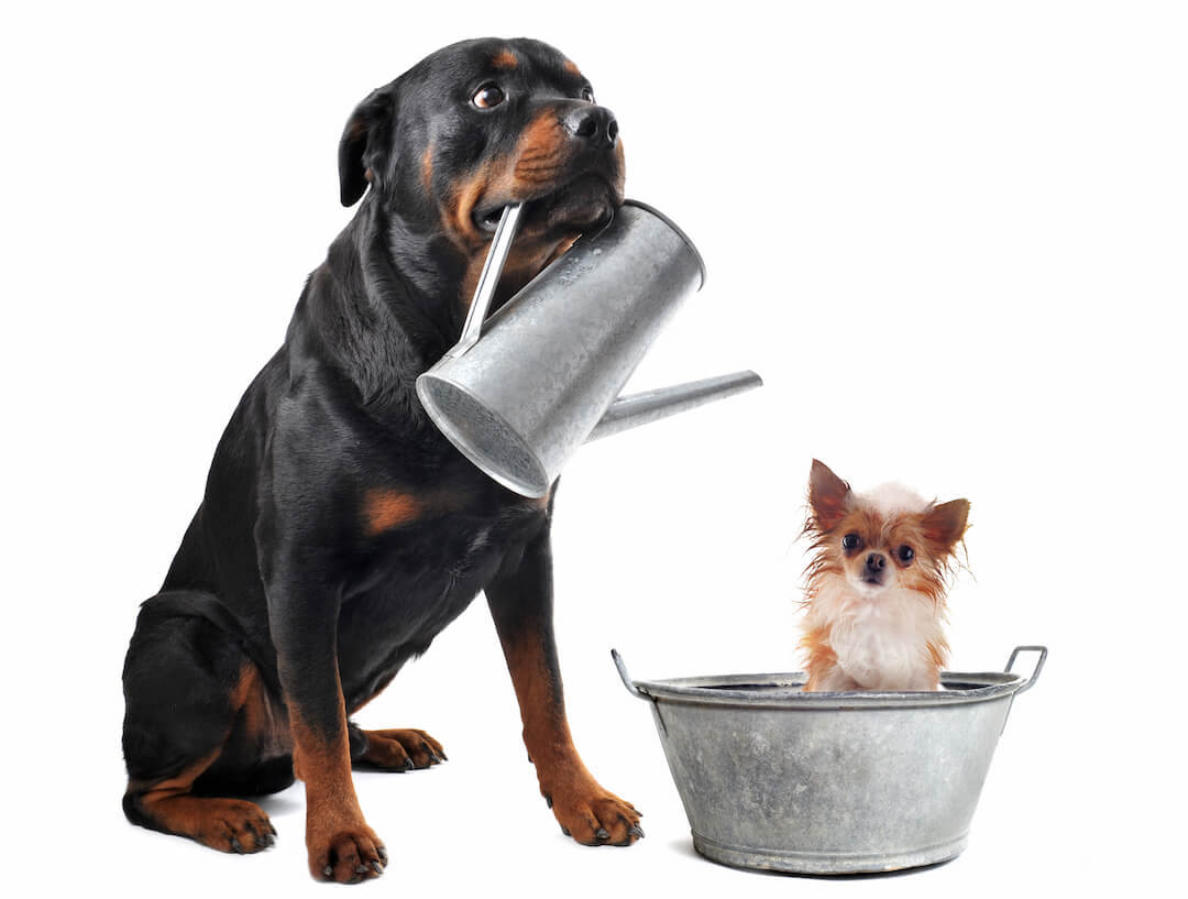 More About Noisy Plumbing