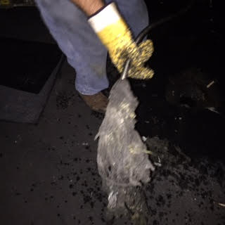 Don’t Flush Those Wipes!