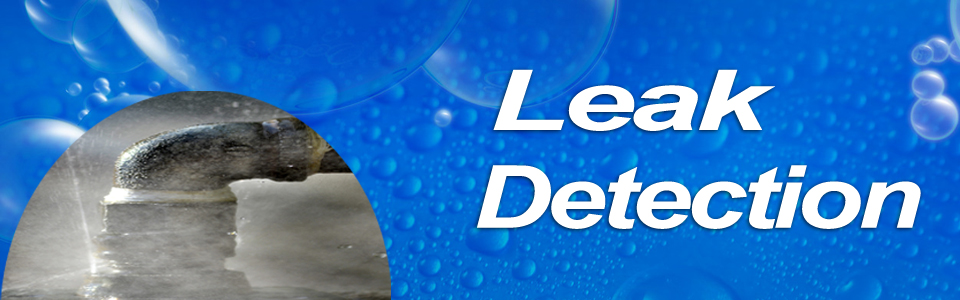 Plumbing Leaks and Water Damage
