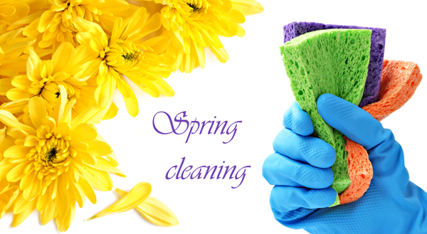 Spring Cleaning for Plumbing?